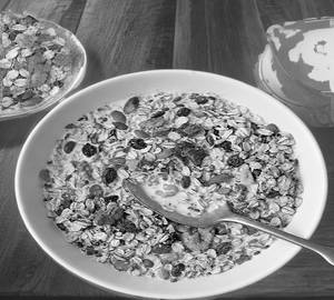 12-in-1 Nutrition Cereal bowl