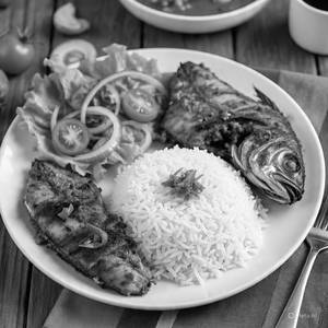 Special Fish Meals (fry)