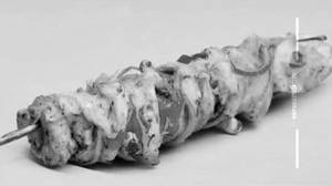 Murgh Cheese Pepper Kebab