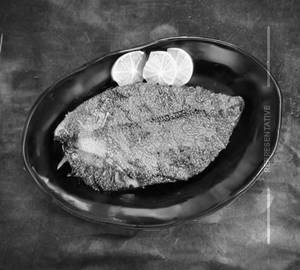 Pomfret rava fry