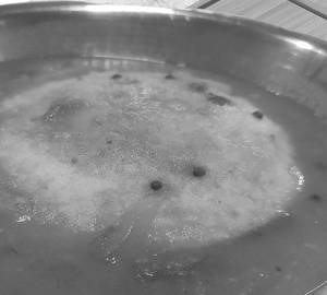Sambar Idly (2)