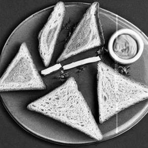 Bread Butter