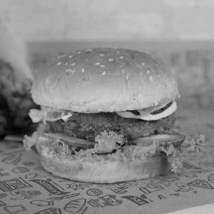 Fish Burger