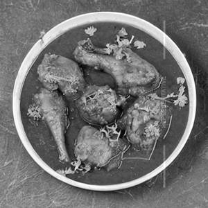 Chicken Sagawela