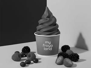 Wild Berries Sorbet Frozen Yogurt Ice Cream