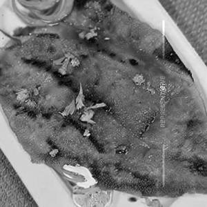 Pomfret tawa fry