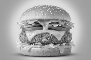 Mike’s Cheese Veggie Supreme Burger