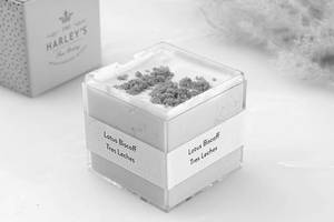 Lotus Biscoff Tres Leches [Pack Of 2]