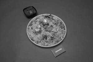 Hydrabadi Biryani