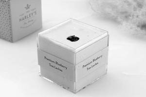 Premium Blueberry Tres Leches [Pack Of 2]