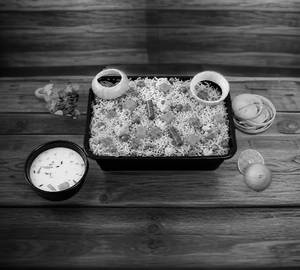 Veg Biryani [Serves 1]