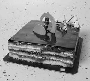 Opera Cake 500 Grams
