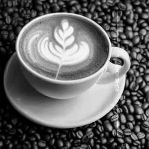 Lavender Cappuccino