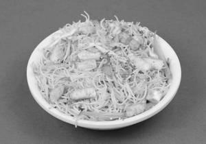 Paneer Hakka Noodles