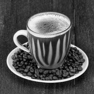 Mocha