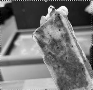 Jumbo Viral Crispy Shawarma With Fries And Dips