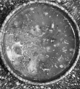 BEIJING BROCOLLI NON VEG SOUP