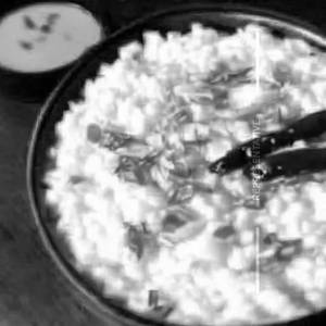Curd Rice