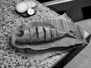 Bangda Fry