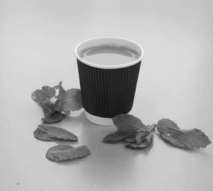 Pudina Tea