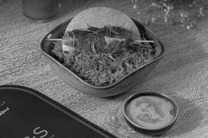 Nasi Goreng Tgs Style