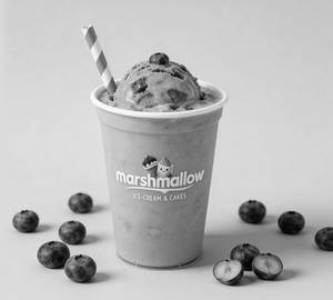 Blueberry Shake