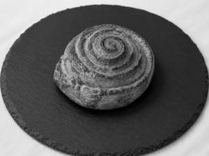 Cinnamon Roll