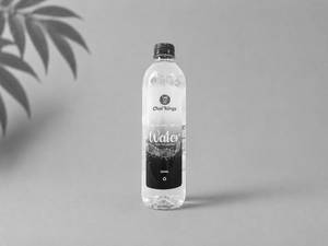 Water Bottle (500 ml)