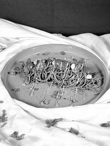 Whole Wheat Dragon Noodles With Paraphyto Protein