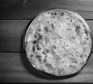 Aloo payaz paneer mix paratha(1pec)
