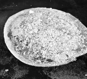 Kaju panner dosa