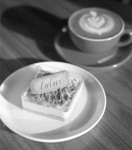 Lotus Biscoff Cheesecake