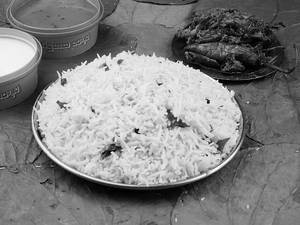 Pennada Vankaya Masala Biryani