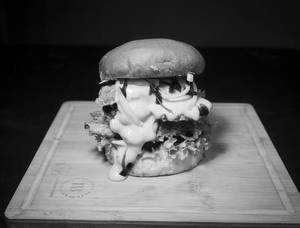 Crispy Veggie Burger