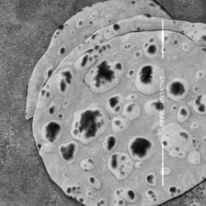 Chapati