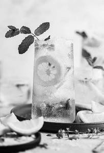 Sugar Free Lemon Mojito