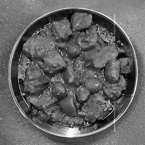 Sabji Satrangi