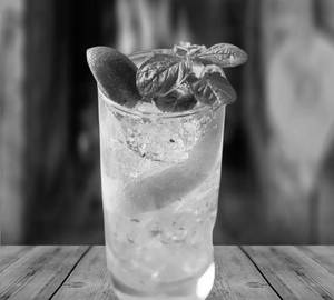 Sugar Free Green Apple Mojito