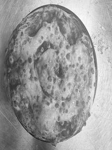Classic Pizza