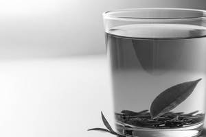 Organic Green Tea - Medium
