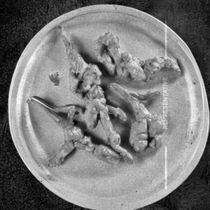 Chicken Foot Pan