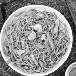 Chicken Hakka Noodles
