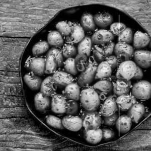 Honeychilly Potato