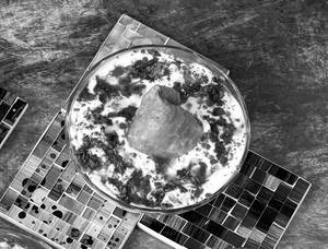 Dahi Samosa Chaat (1 Pc)