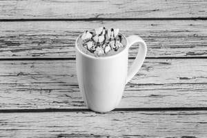 Classic Hot Chocolate