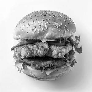 Big Crunch Burger(chicken)