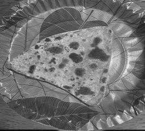Plain Paratha