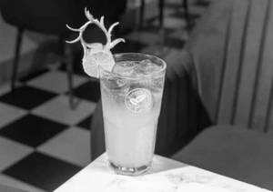 Litchi Mojito