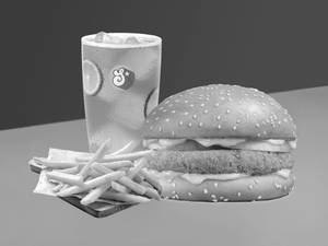 Garden Zapper Burger Meal