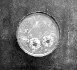 Prawns Lung Fung Soup
